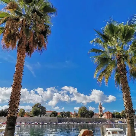Kraljic * Zadar